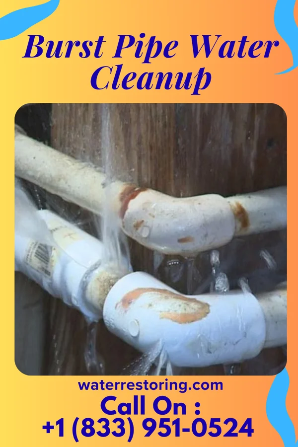 Burst Pipe Water Cleanup in Herald Harbor, MD