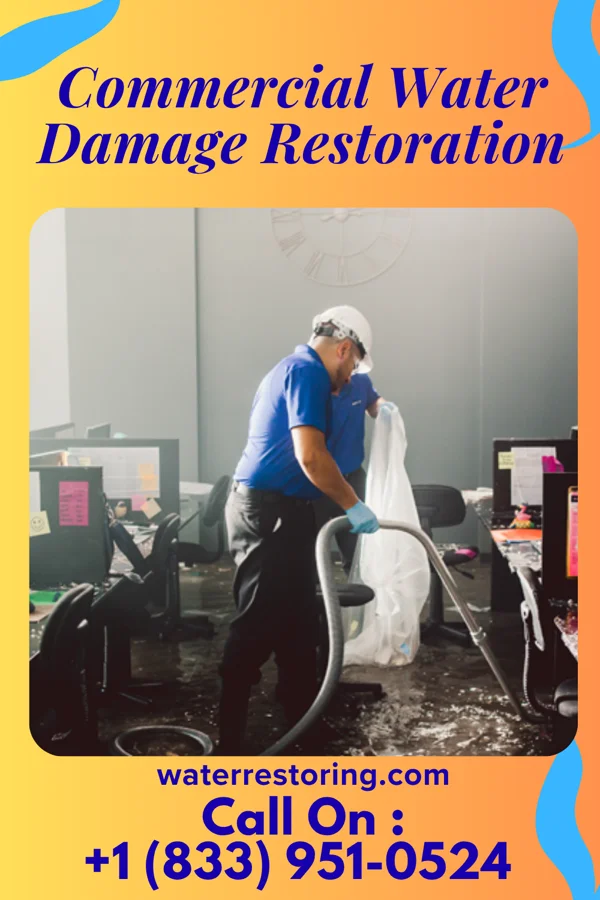 Commercial Water Damage Restoration in Herald Harbor, MD
