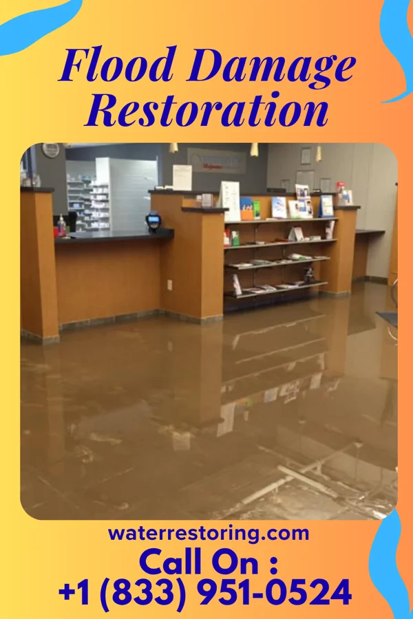 Flood Damage Restoration in Herald Harbor, MD