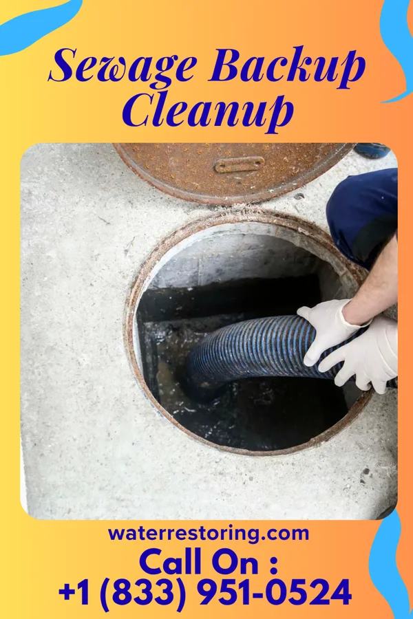 Sewage Backup Cleanup in Herald Harbor, MD