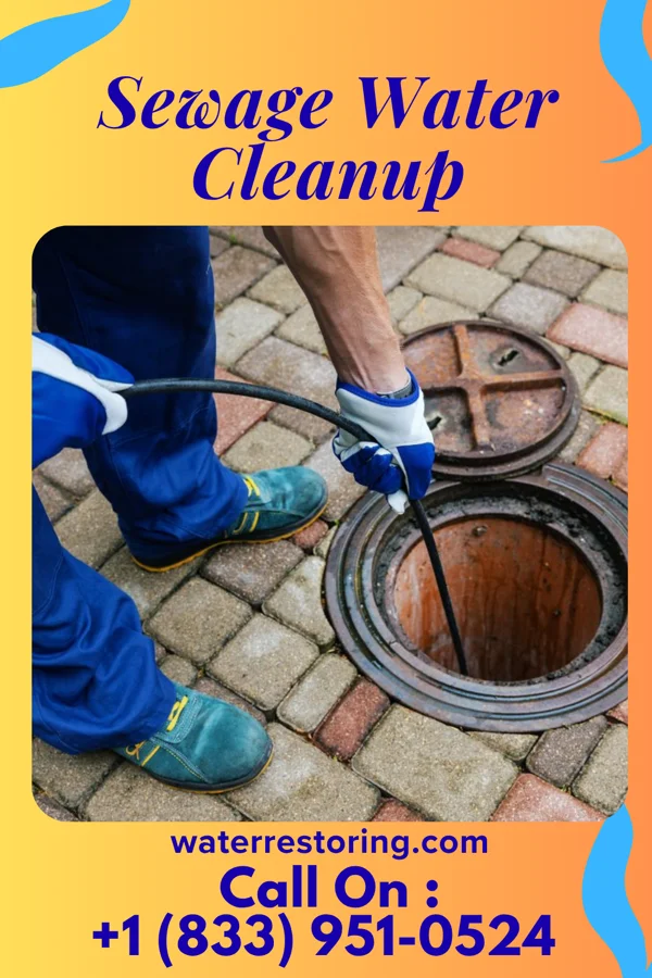 Sewage Water Cleanup in Herald Harbor, MD